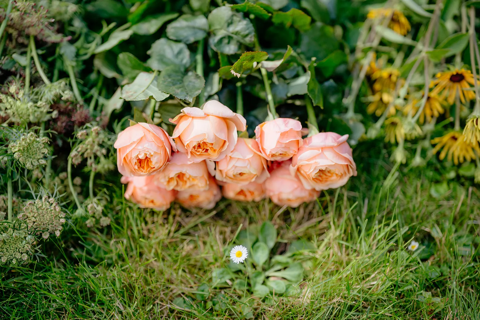 Arrangement op locatie